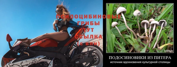 молекула духа Аркадак